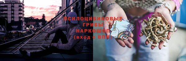 винт Няндома