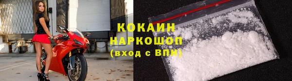 винт Няндома