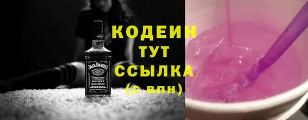 винт Няндома