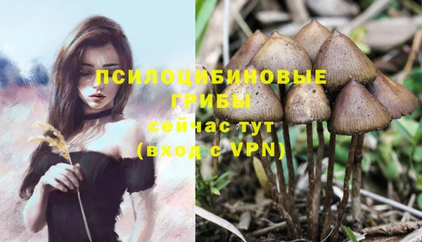 винт Няндома