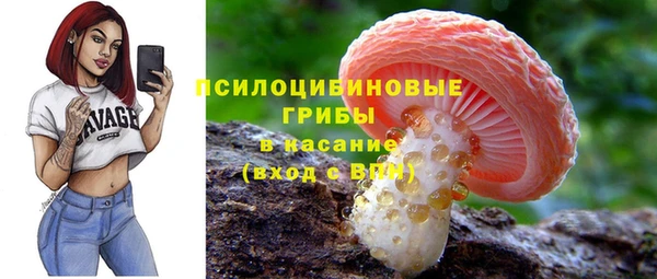 мдпв Нягань