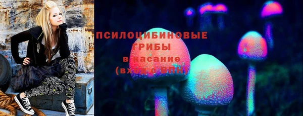 MDMA Premium VHQ Нязепетровск