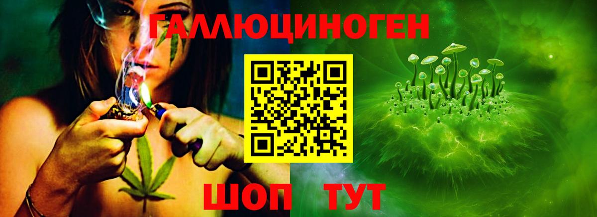 Псилоцибиновые грибы прущие грибы  дарнет шоп  Орск  Вход с VPN  Псилоцибиновые грибы Psilocybe 